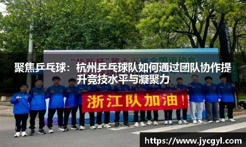 聚焦乒乓球：杭州乒乓球队如何通过团队协作提升竞技水平与凝聚力